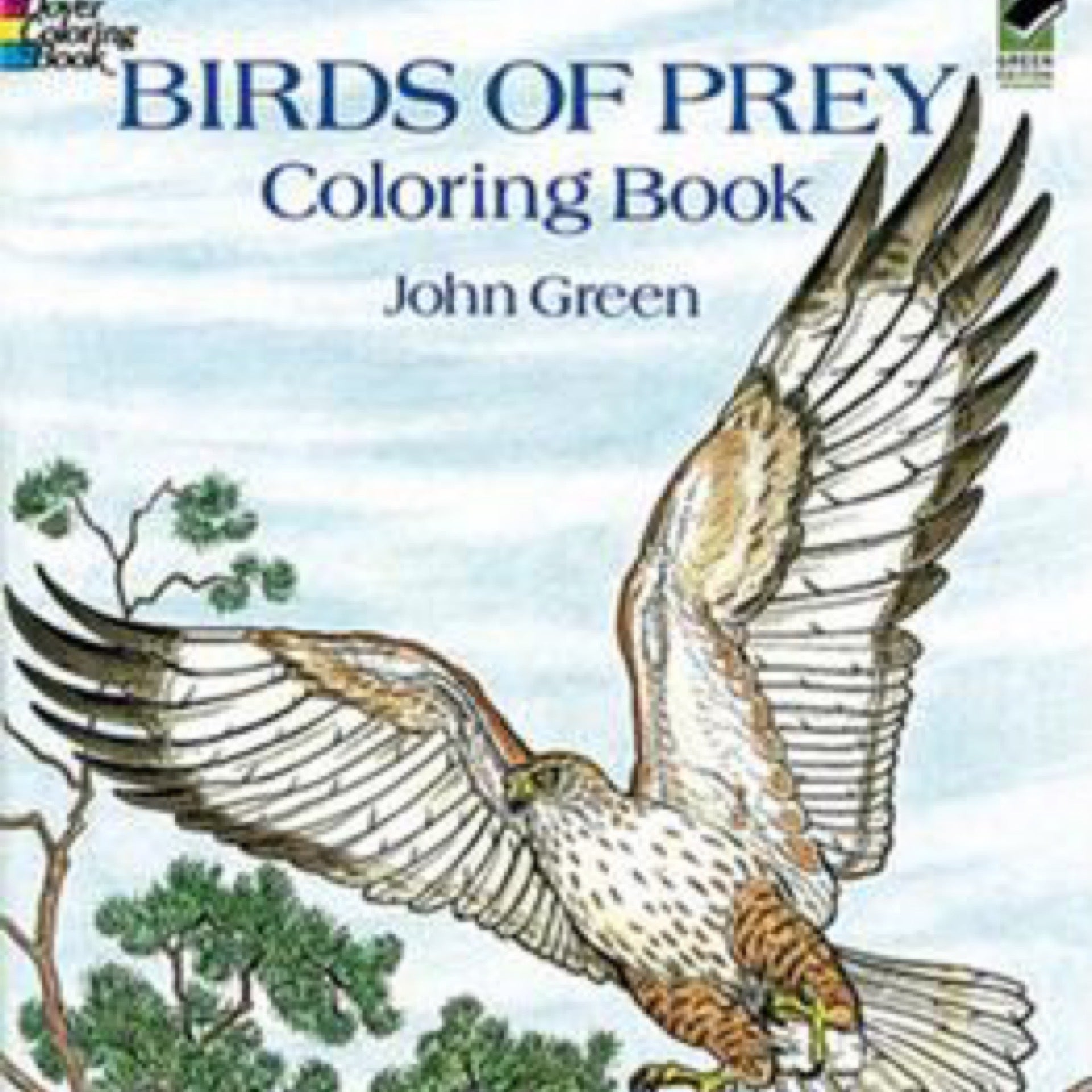 Book - Birds of Prey - Coloring | The Raptor Trust